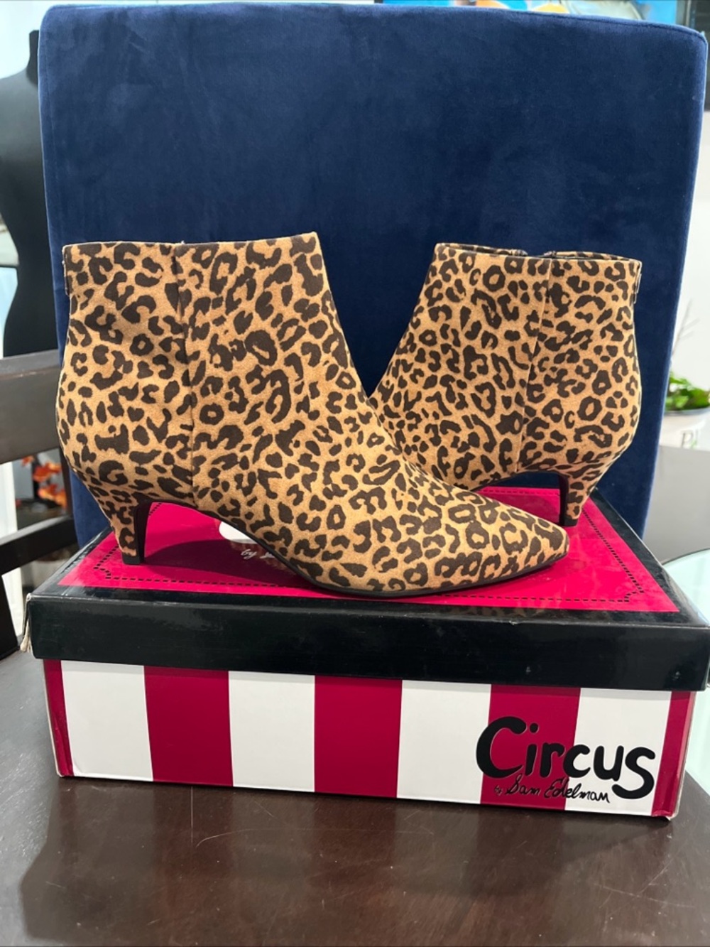 Circus by Sam Edelman-Kirby Leopard Print Suede Ankle Booties - Black & Tan 6.5